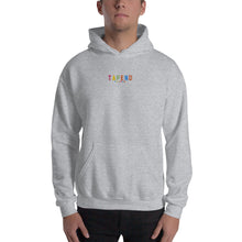Load image into Gallery viewer, Embroidered Multi-colour Logo Hoodie
